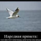 stalin2009