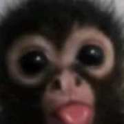 AMyp