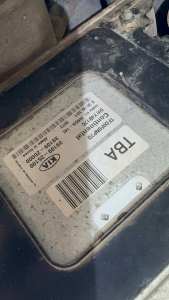 IMG_0882.jpeg