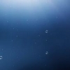 vic_pnz