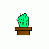 kaktus29